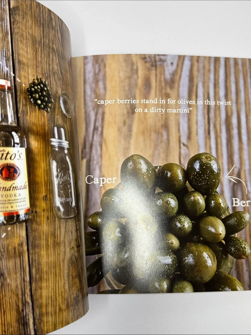 shake - A New Perspective on Coctails. Eric Prum & Josh Williams. NWOT, 2013